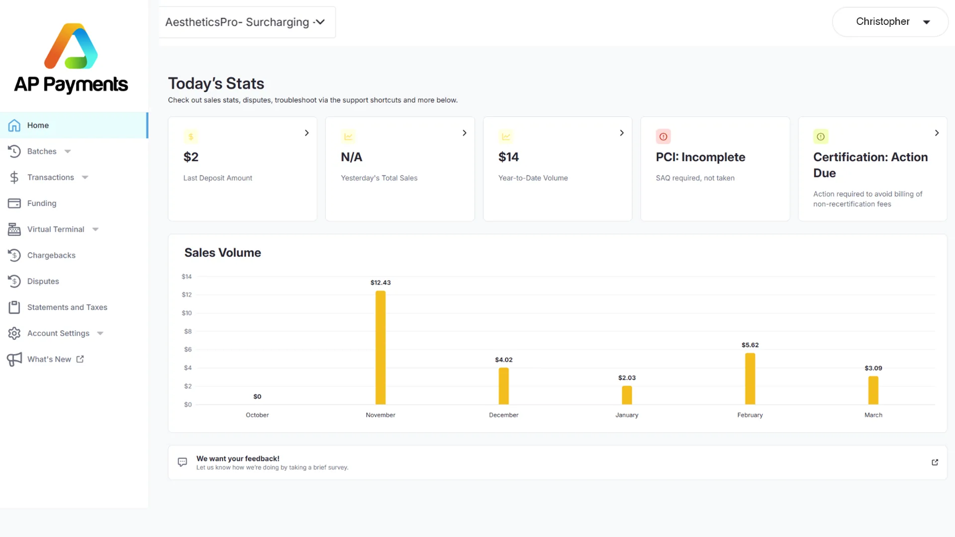 AP Payments sales dashboard and reporting tools in aesthetics software